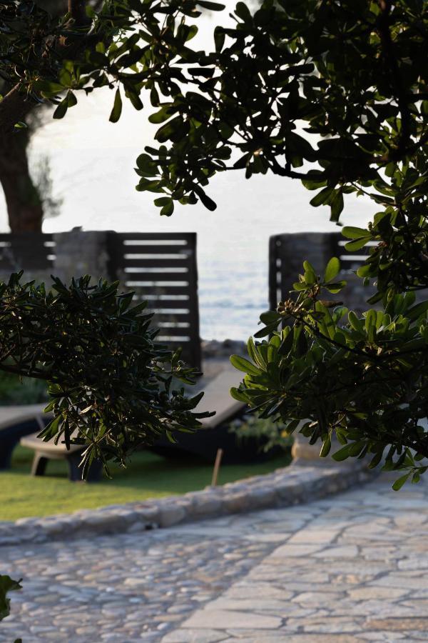 Villa Thalassa Stavromenos Beach Magnisía Exterior foto